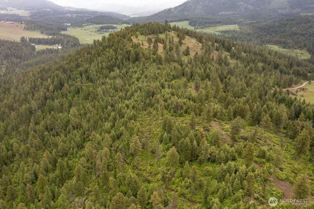2420A Addy Gifford Rd, Addy, WA 99101 - photo 13