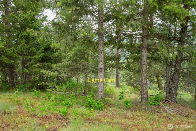 2420A Addy Gifford Rd, Addy, WA 99101 - photo 16