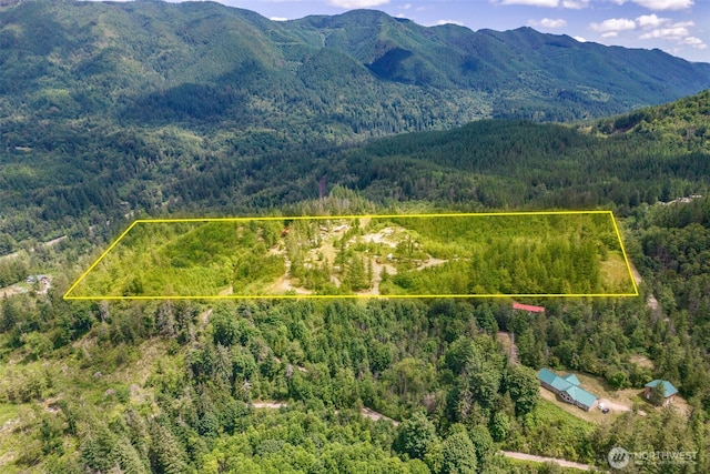 35022 SE 332nd St, Ravensdale, WA 98051 - photo 1
