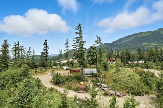 35022 SE 332nd St, Ravensdale, WA 98051 - photo 6