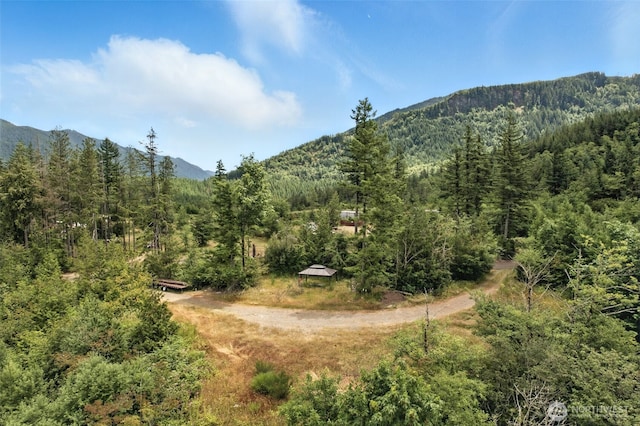 35022 SE 332nd St, Ravensdale, WA 98051 - photo 15