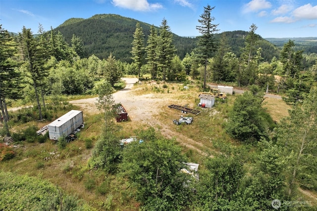 35022 SE 332nd St, Ravensdale, WA 98051 - photo 23