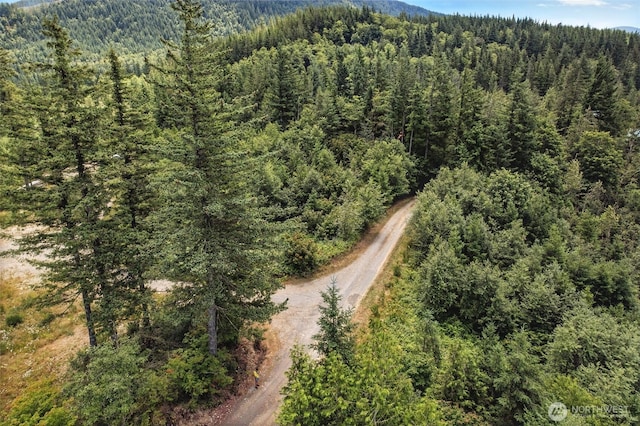 35022 SE 332nd St, Ravensdale, WA 98051 - photo 24