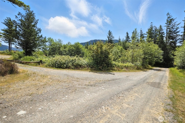 35022 SE 332nd St, Ravensdale, WA 98051 - photo 25