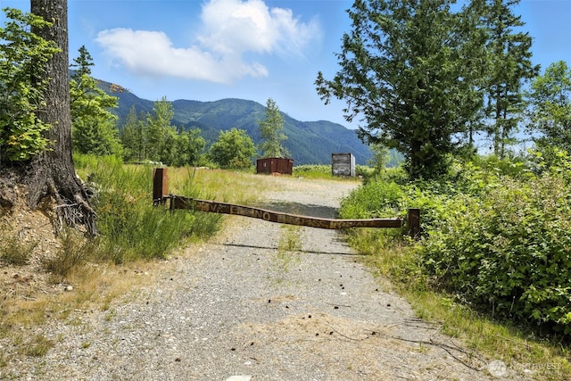 35022 SE 332nd St, Ravensdale, WA 98051 - photo 26
