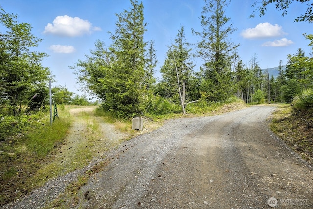 35022 SE 332nd St, Ravensdale, WA 98051 - photo 27