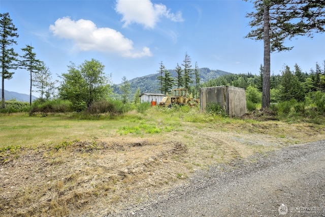 35022 SE 332nd St, Ravensdale, WA 98051 - photo 28