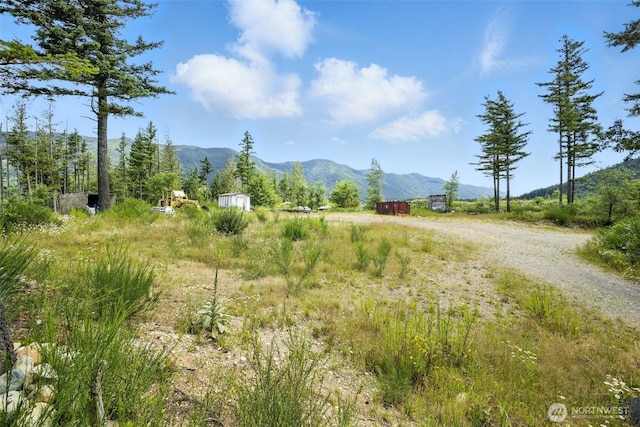 35022 SE 332nd St, Ravensdale, WA 98051 - photo 30