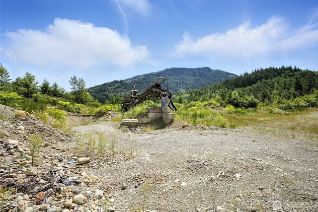 35022 SE 332nd St, Ravensdale, WA 98051 - photo 34