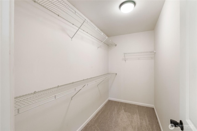 3413 E Grandview Ave, Tacoma, WA 98404 - photo 23