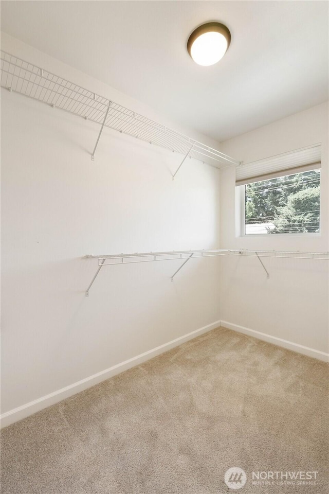 3413 E Grandview Ave, Tacoma, WA 98404 - photo 29
