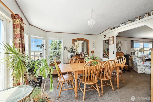 55 Mott Rd, Lyle, WA 98635 - dining space with ornamental molding, a chandelier, and a textured ceiling