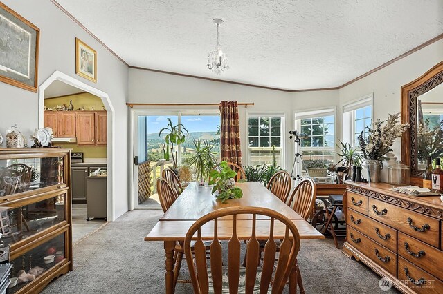 55 Mott Rd, Lyle, WA 98635 - dining space featuring light carpet, ornamental molding, a textured ceiling, and a chandelier