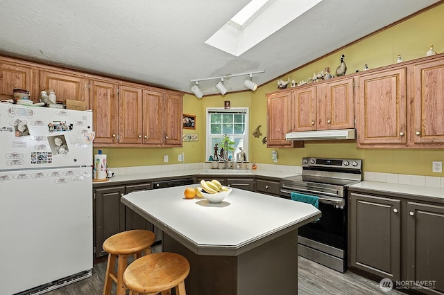 55 Mott Rd, Lyle, WA 98635 - kitchen featuring freestanding refrigerator, stainless steel range with electric stovetop, under cabinet range hood, a skylight, and light wood finished floors
