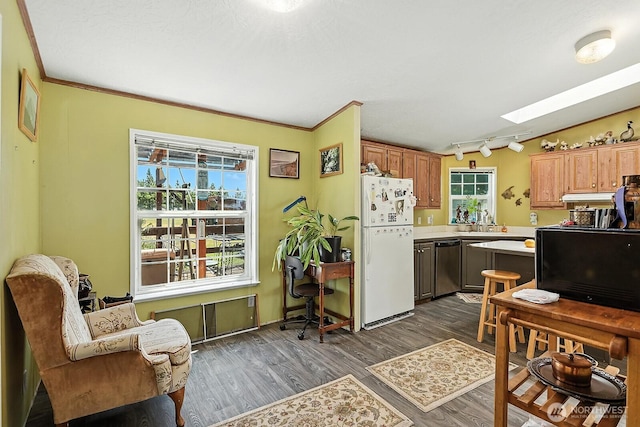 55 Mott Rd, Lyle, WA 98635 - kitchen featuring freestanding refrigerator, dishwasher, light countertops, dark wood-type flooring, and a skylight