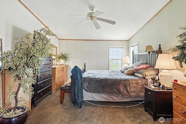 55 Mott Rd, Lyle, WA 98635 - bedroom featuring carpet flooring, vaulted ceiling, a textured ceiling, ornamental molding, and a ceiling fan