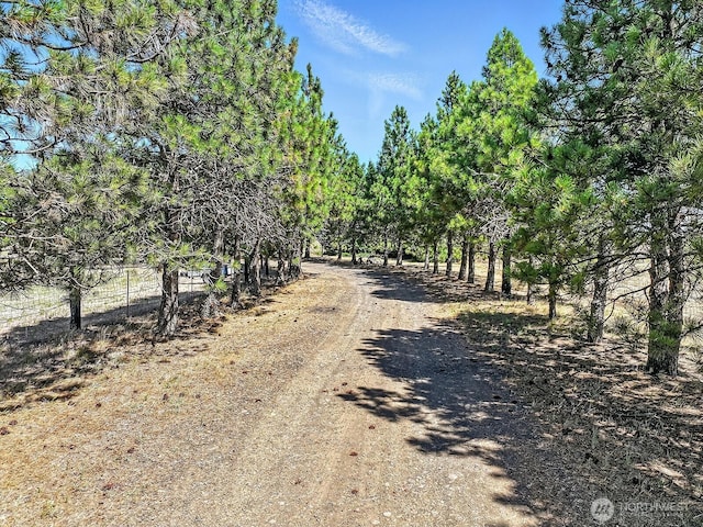 55 Mott Rd, Lyle, WA 98635 - view of street with a view of rural / pastoral area