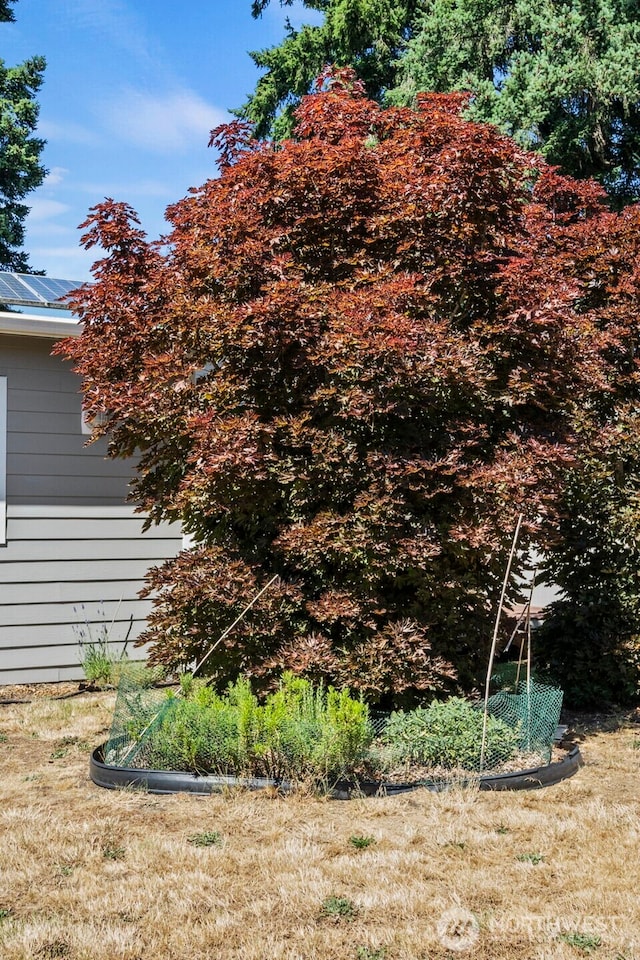 610 128th St S, Tacoma, WA 98444 - view of yard
