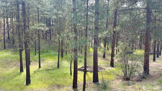 98 Larkspur Dr, Winthrop, WA 98862 - photo 3