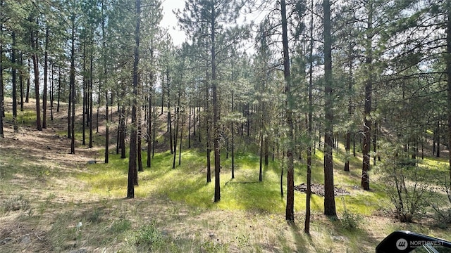 98 Larkspur Dr, Winthrop, WA 98862 - photo 4
