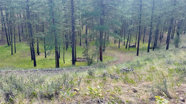 98 Larkspur Dr, Winthrop, WA 98862 - photo 18