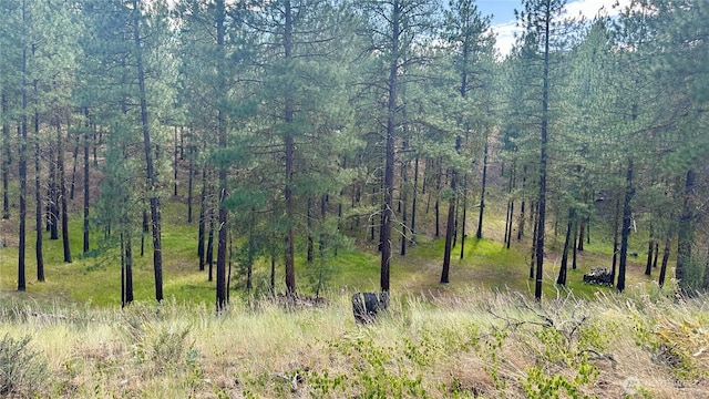 98 Larkspur Dr, Winthrop, WA 98862 - photo 20