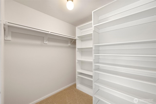 3312 156th St SW Unit E4, Lynnwood, WA 98087 - walk in closet featuring carpet