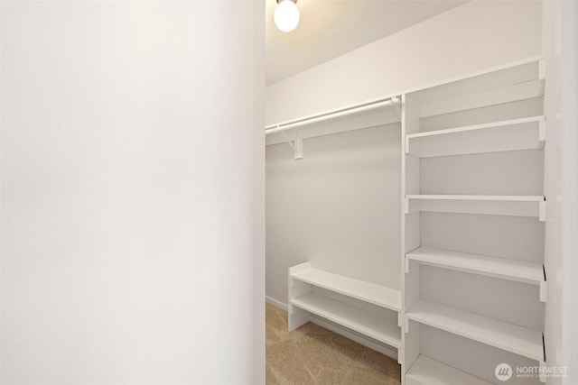 3312 156th St SW Unit E4, Lynnwood, WA 98087 - walk in closet with carpet floors