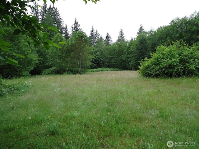 10103 Hornbeck Dr, Concrete, WA 98237 - photo 2
