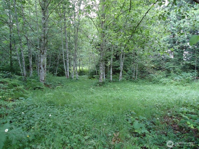 10103 Hornbeck Dr, Concrete, WA 98237 - photo 3