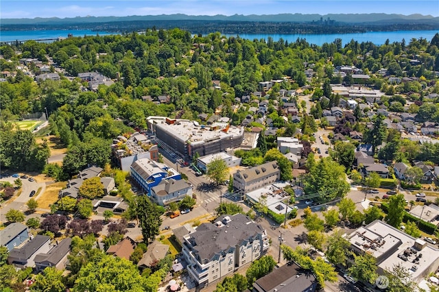 2820 E Madison St Unit 204, Seattle, WA 98112 - drone / aerial view of a water and mountain view