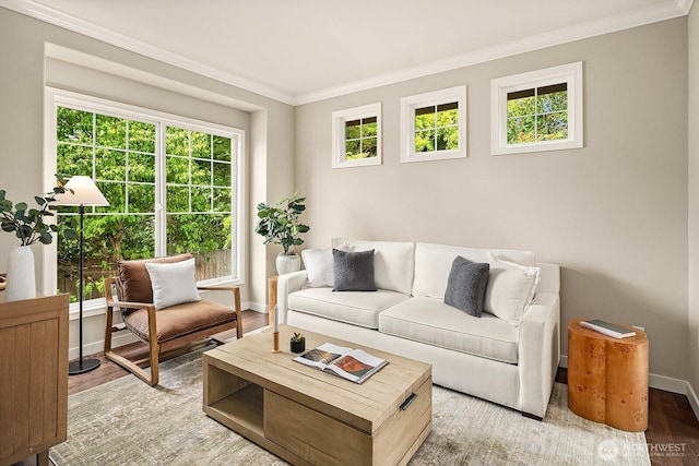3606 Monterey Ct NE, Renton, WA 98056 - living area with ornamental molding, plenty of natural light, and light wood-style floors