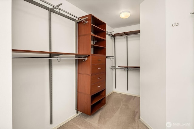 3606 Monterey Ct NE, Renton, WA 98056 - spacious closet with light carpet