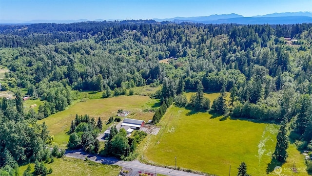 26319 70th Ave E, Graham, WA 98338 - photo 11