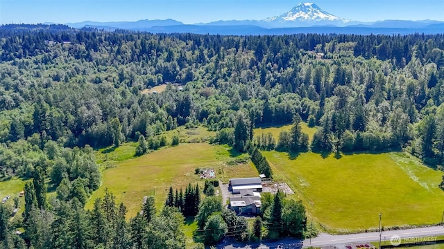 26319 70th Ave E, Graham, WA 98338 - photo 2