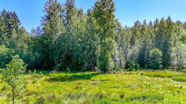 26319 70th Ave E, Graham, WA 98338 - photo 12