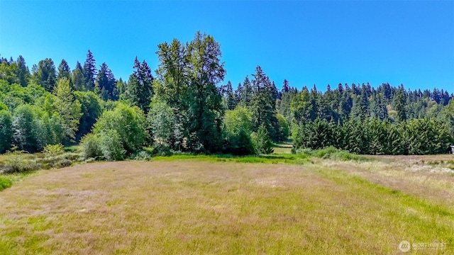 26319 70th Ave E, Graham, WA 98338 - photo 13