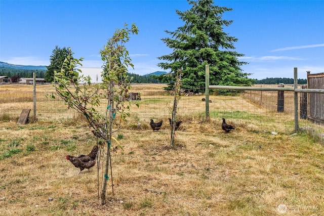 8222 Bordeaux Rd SW, Olympia, WA 98512 - view of yard featuring a rural view and a mountain view