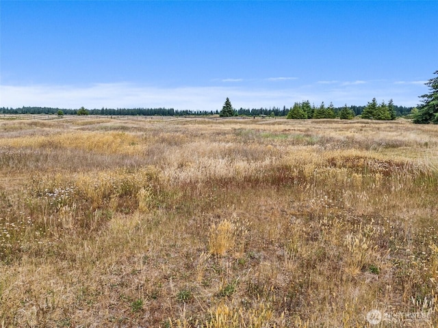 8222 Bordeaux Rd SW, Olympia, WA 98512 - view of local wilderness featuring rural landscape
