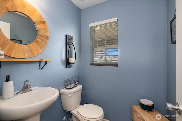 2838 Anna St NE, Lacey, WA 98516 - photo 13