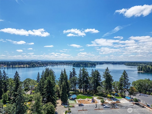 9116 121st St SW, Lakewood, WA 98498 - photo 3