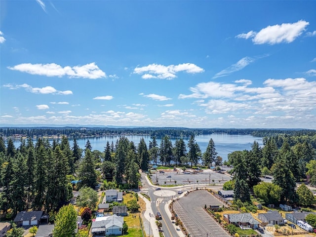 9116 121st St SW, Lakewood, WA 98498 - photo 29