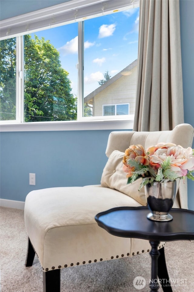 3724 133rd Pl SW, Lynnwood, WA 98087 - photo 18