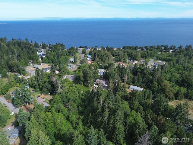 999 Largent Ln, Port Angeles, WA 98362 - photo 1