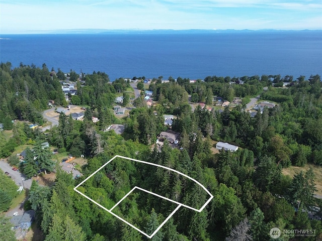 999 Largent Ln, Port Angeles, WA 98362 - photo 2