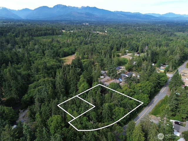 999 Largent Ln, Port Angeles, WA 98362 - photo 3
