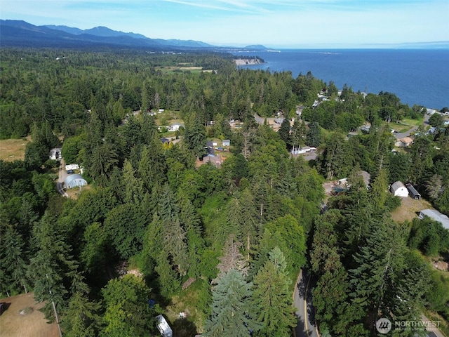 999 Largent Ln, Port Angeles, WA 98362 - photo 4