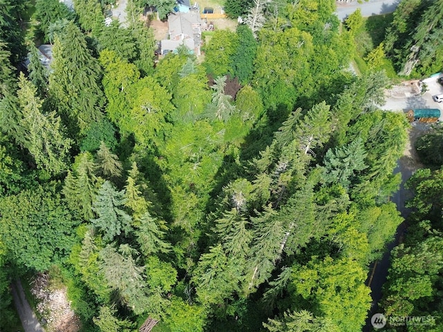 999 Largent Ln, Port Angeles, WA 98362 - photo 5