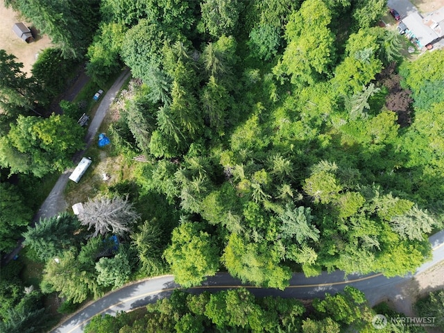 999 Largent Ln, Port Angeles, WA 98362 - photo 6