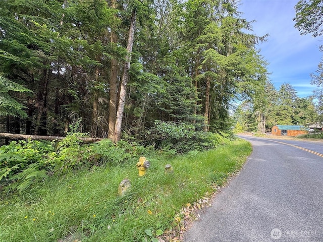999 Largent Ln, Port Angeles, WA 98362 - photo 7
